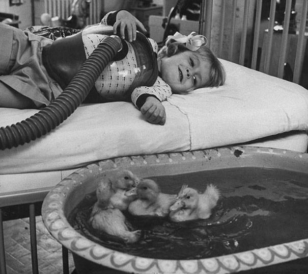 9.) Animals used to be involved in medical therapy as early as 1956.