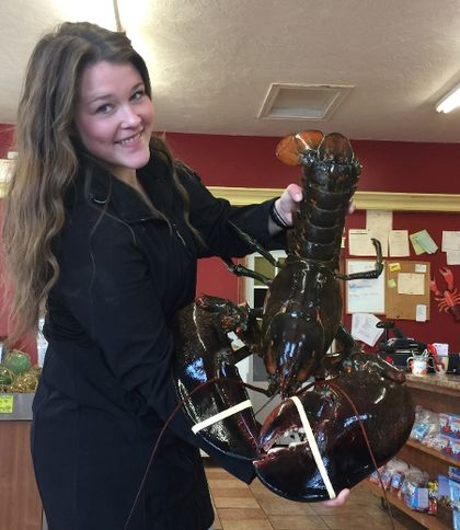 massive lobster